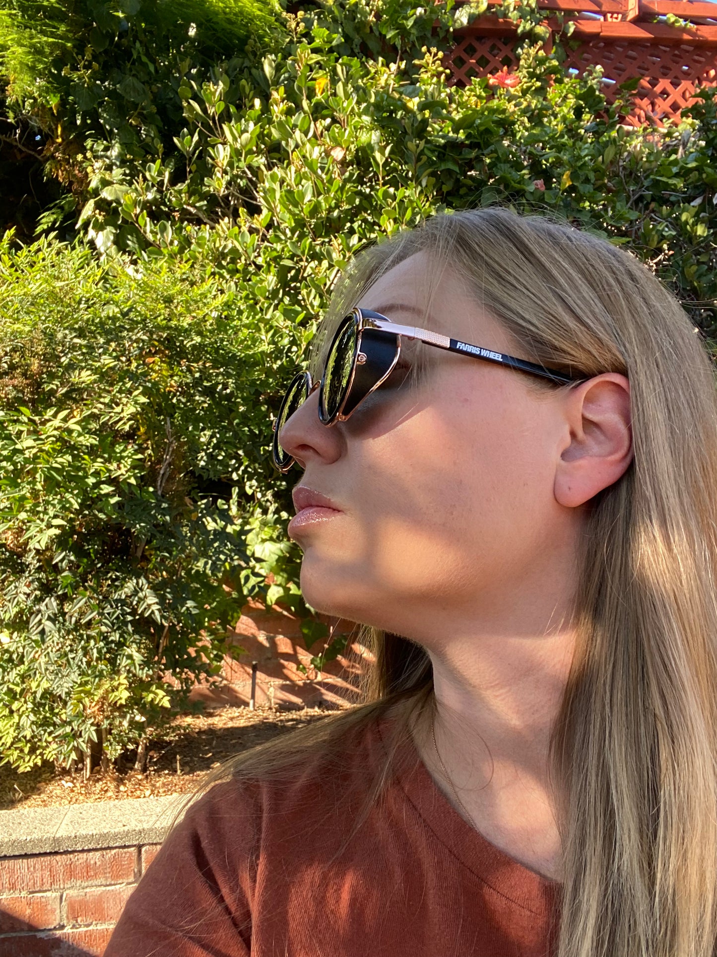 Farris Wheel Vintage Steampunk Unisex Sunglasses - BeExtra! Apparel & More